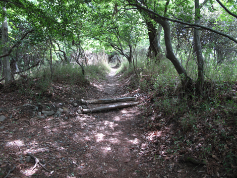 20140524hike (33)